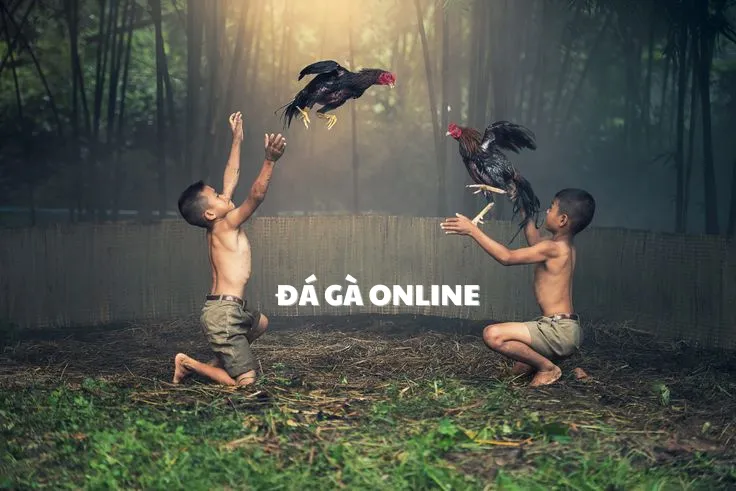 Đá gà online